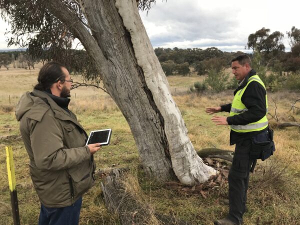 A grey tree trunk in a grassy field with a man standing on each side of the tree in conversation. The man on the left is wearing a brown jacket and holding an ipad. The man on the right has a fluro safety vest on.