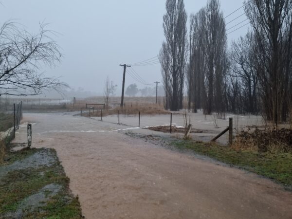 A flooded field at Ginninderra