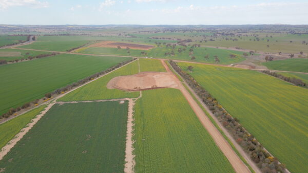 The Boorowa Agricultural Research Station has hundreds of small plots dedicated to crop research, continuing the legacy of the former Ginninderra Experiment Station.